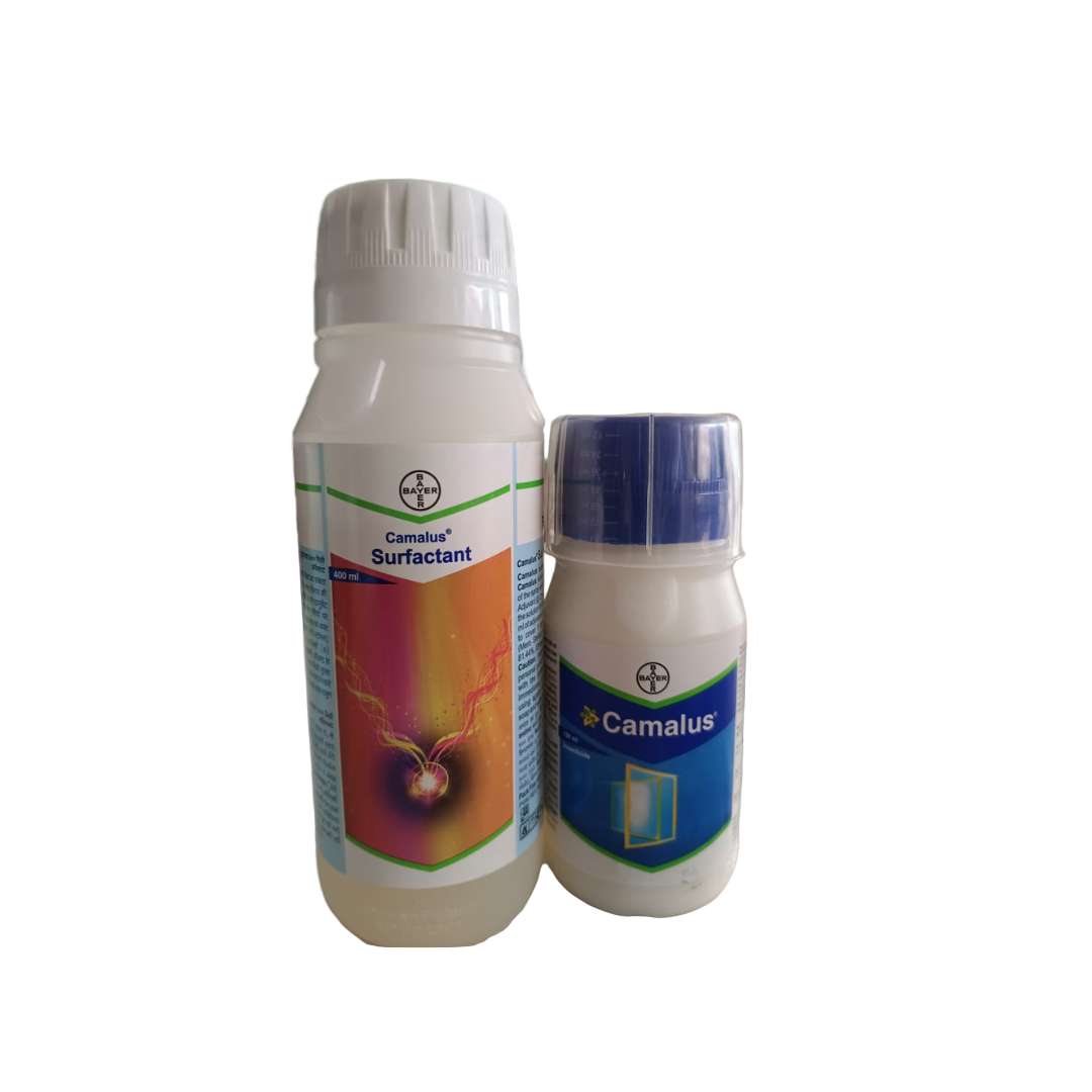 Camalus insecticide from Bayer, powered by Tetraniliprole and Spirotetramat, offers dual systemic action to control both chewing and sucking pests in vegetables such as tomato, brinjal, chilli, cabbage, and okra, ensuring rapid feeding cessation and long-lasting plant protection.