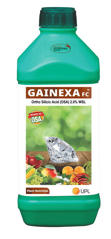 Gainexa Ortho Silicic Acid