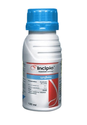 Incipio Insecticide