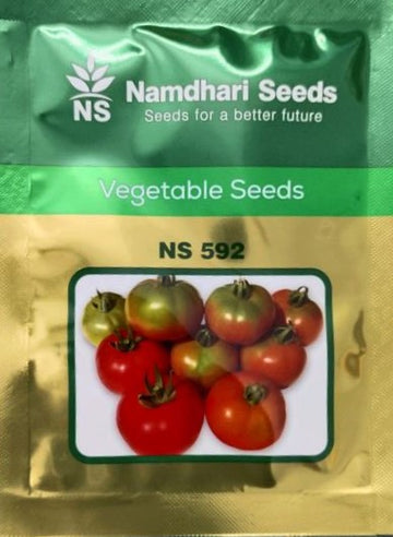 Namdhari NS 592 F1 Hybrid Tomato seeds packet with label, high-yield variety for uniform, firm, red tomatoes suitable for long-distance transport and commercial farming