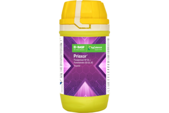 Priaxor - Fungicide