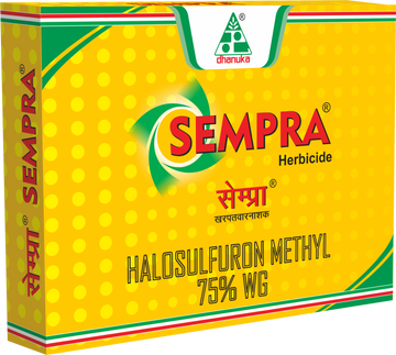 Sempra Herbicide
