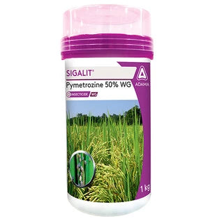 सिगालिट