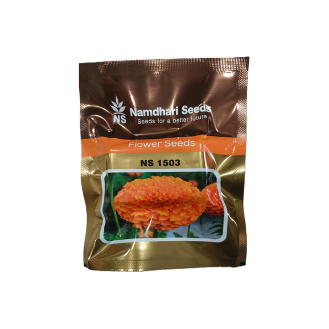 NS 1503 F1 HYB MARIGOLD FLOWER SEEDS (BRIGHT ORANGE)  AgriVruddhi