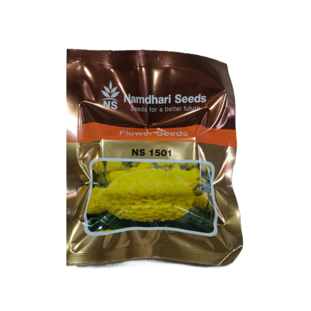 marigold seeds to flower NS 1501 F1 HYB Marigold Flower Seeds (BRIGHT YELLOW) – AgriVruddhi