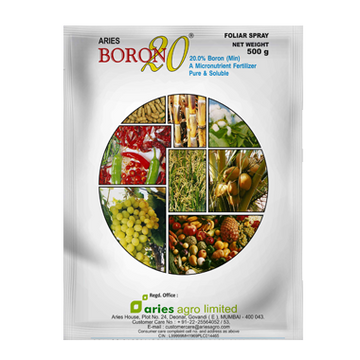 Aries Boron20