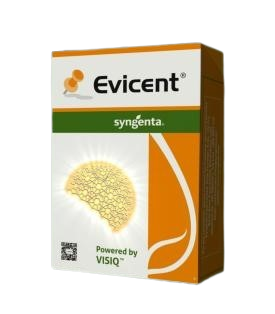 Evicent Insecticide