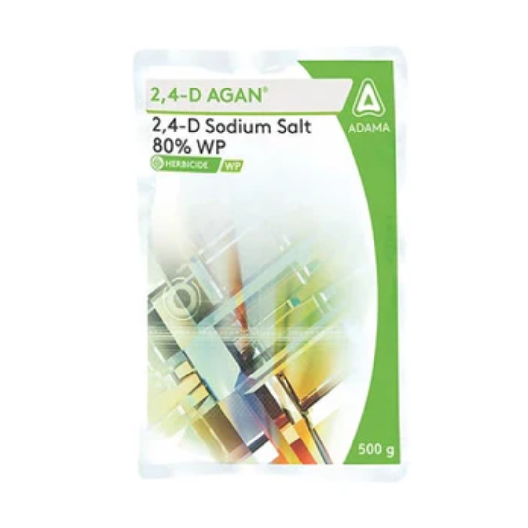 2,4-D Agan Herbicide – 2,4-D Sodium Salt 80% WP selective systemic herbicide for effective control of broadleaf weeds in cereal crops.