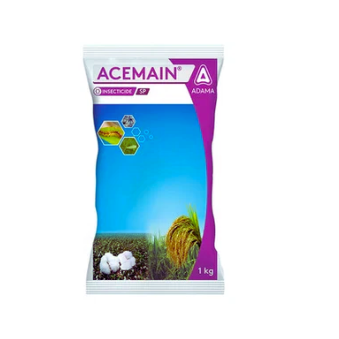 Acemain insecticide containing Acephate 75% SP, used for controlling sap-sucking pests in crops.