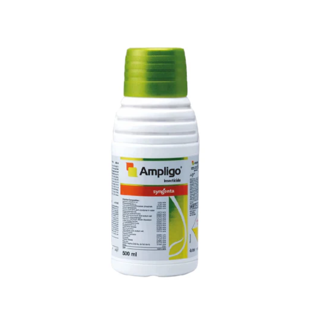 Ampligo Insecticide by Syngenta – dual-action ZC formulation with Chlorantraniliprole 9.3% + Lambda-cyhalothrin 4.6%, providing fast knockdown and systemic control of chewing and sucking pests in crops like cotton, maize, rice, and vegetables.
