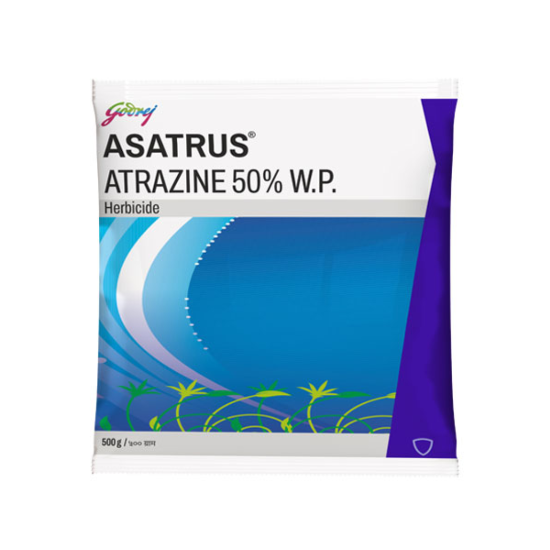 Asatrus Atrazine 50% WP herbicide pouch for broad-spectrum weed control in maize and sugarcane"