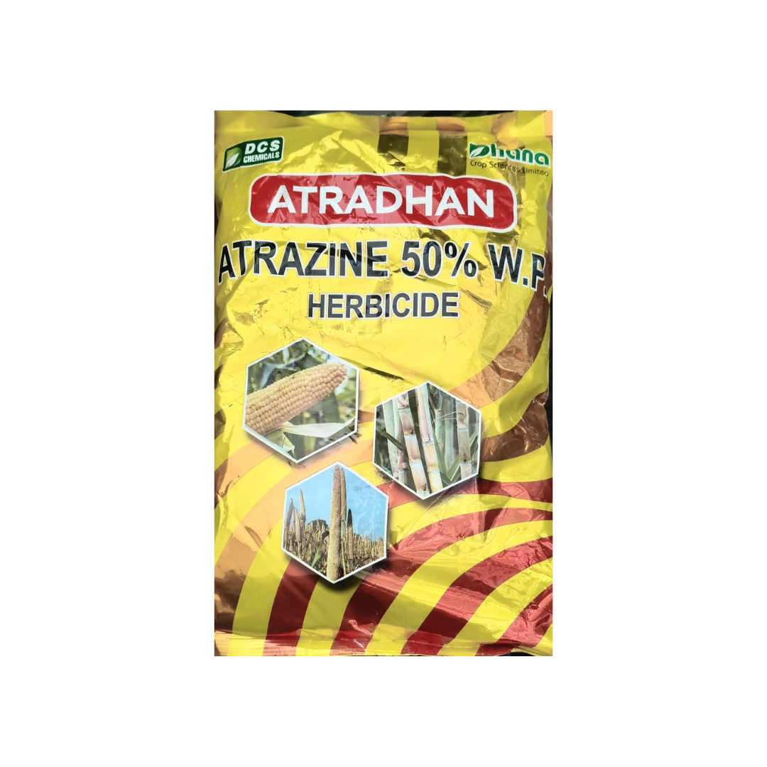Atradhan Atrazine 50% WP herbicide by Dhana Crop, used for broad-spectrum control of grassy and broadleaf weeds in maize and sugarcane.