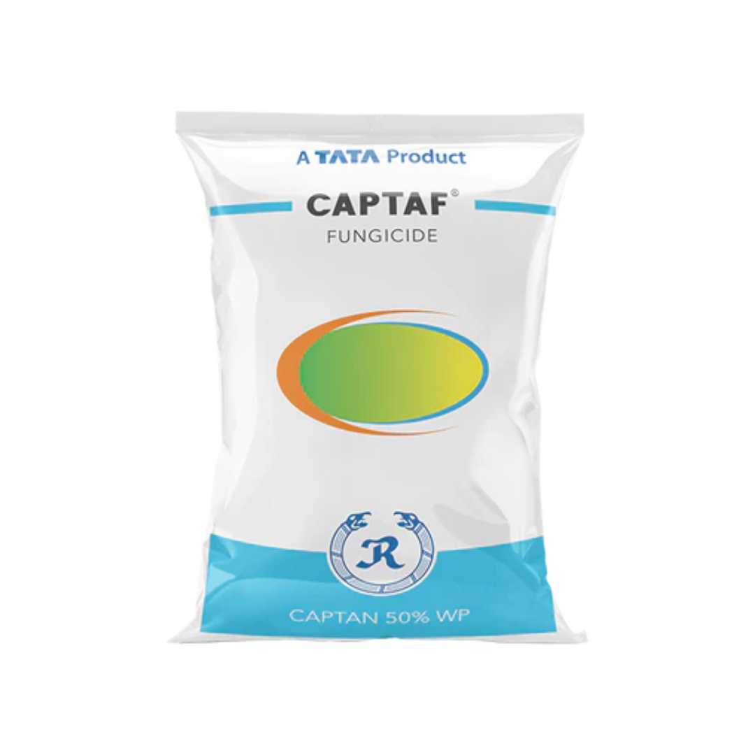 Captaf Captan 50% WP – systemic fungicide in wettable powder form, effective against a wide range of fungal diseases on fruits, vegetables, and field crops, providing preventive and curative protection.
