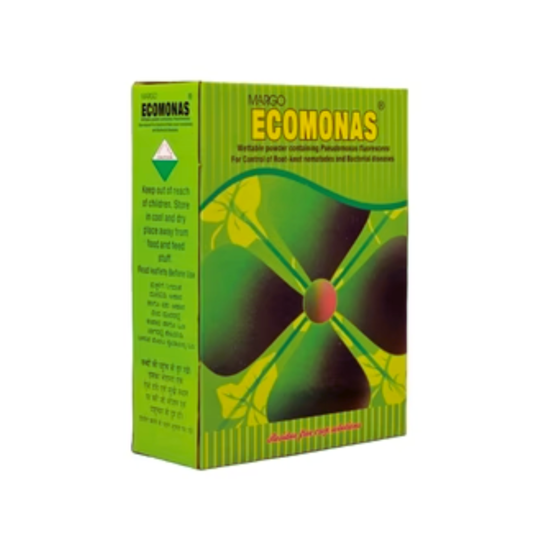 Ecomonas Pseudomonas fluorescens 1.0% WP is a beneficial biofertilizer and biocontrol agent in wettable powder form. It contains 1% Pseudomonas fluorescens, promoting plant growth, enhancing nutrient uptake, and protecting crops from soil-borne pathogens. Suitable for seed treatment, soil application, and compatible with organic farming.