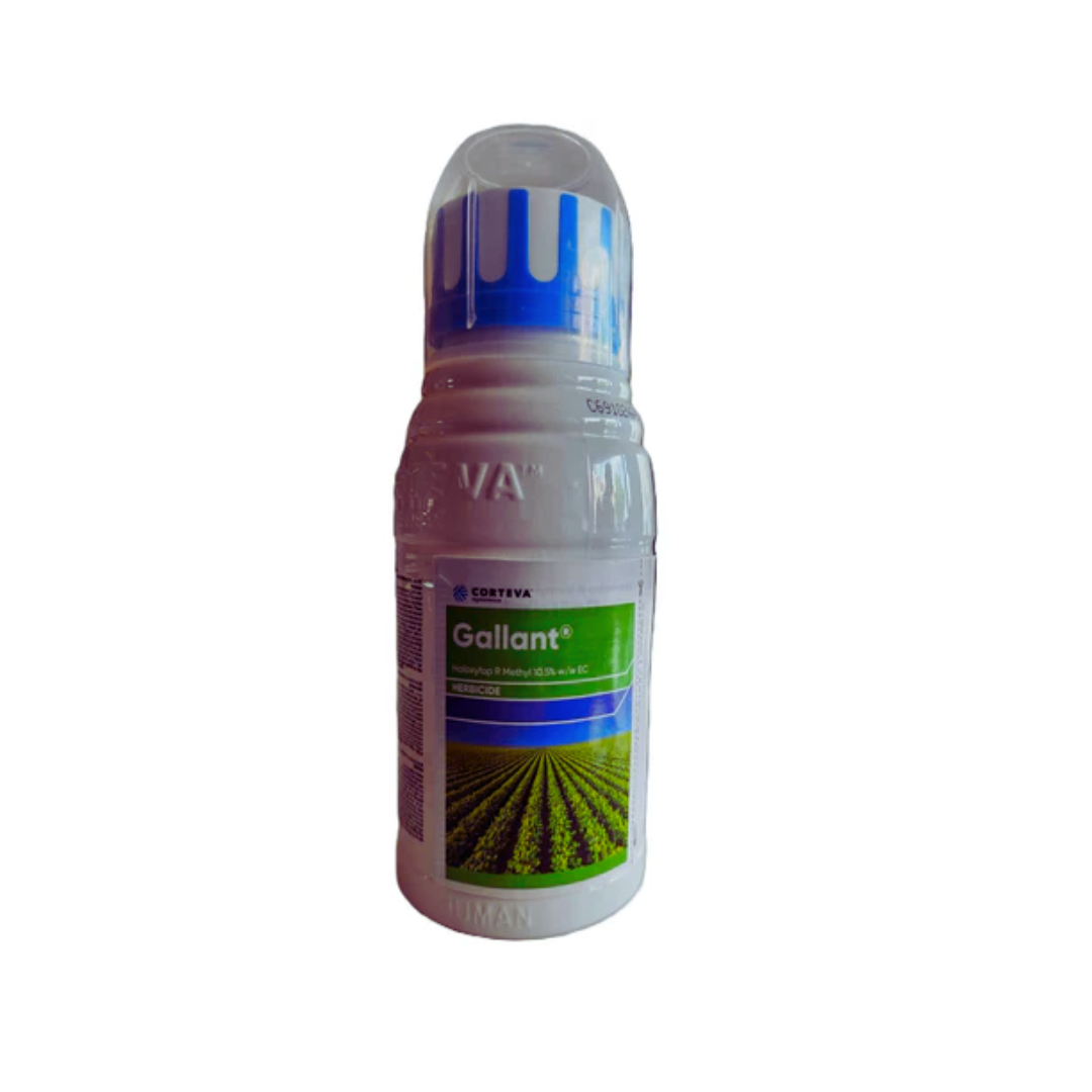 Gallant is a selective post-emergence herbicide containing Haloxyfop-P-Methyl 10.5% EC, used to control grassy weeds in crops like rice and wheat by inhibiting lipid synthesis in target plants.