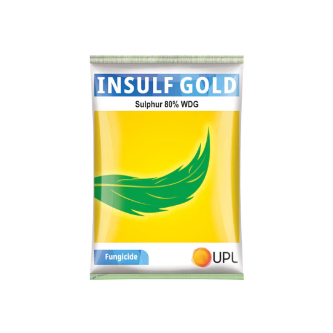 Insulf Gold Contact Fungicide by UPL – Sulphur 80% WDG, a wettable powder fungicide providing broad-spectrum protection against powdery mildew and other fungal diseases in crops like vegetables, fruits, cereals, and pulses.