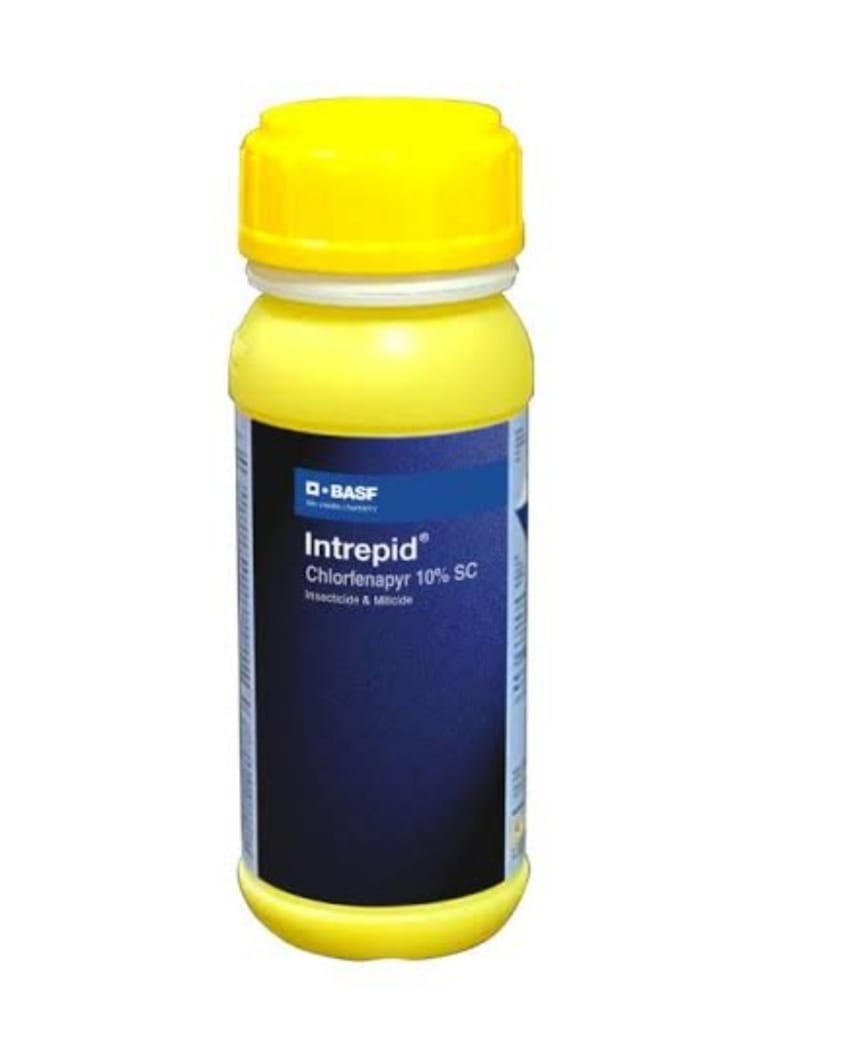 Intrepid - Insecticide