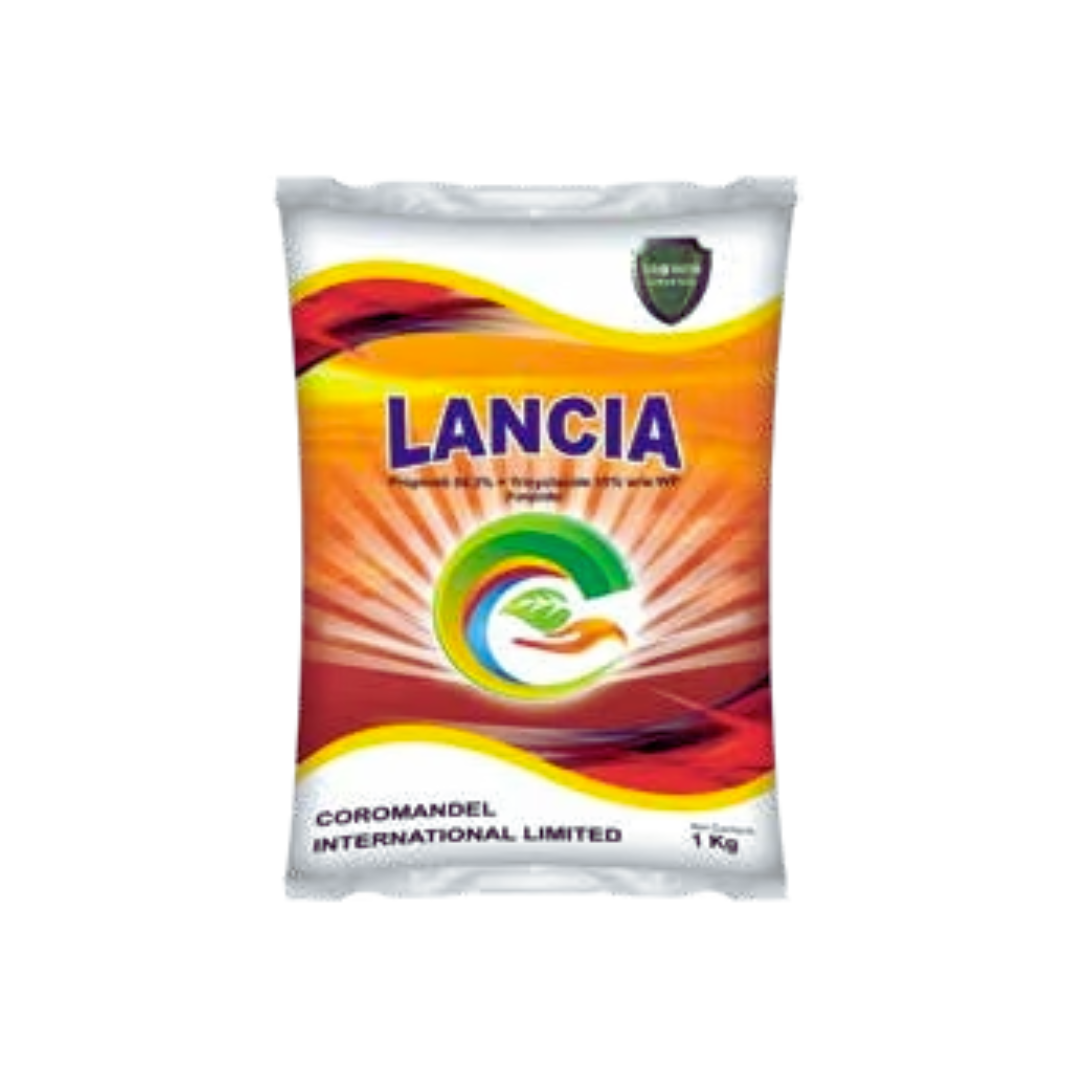 Lancia Fungicide – Propineb 54.2% + Tricyclazole 15% WP, a broad-spectrum systemic and contact fungicide by Coromandel, designed for effective control of fungal diseases such as blast and leaf spots in paddy and other crops.