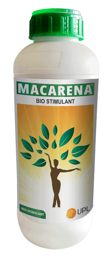 Macarena - Bio Stimulant