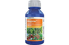 Magister Insecticide