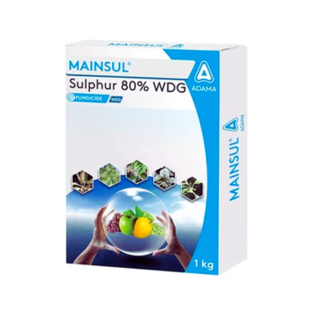 Mainsul fungicide containing Sulfur 80% WDG, used for controlling fungal diseases in crops.