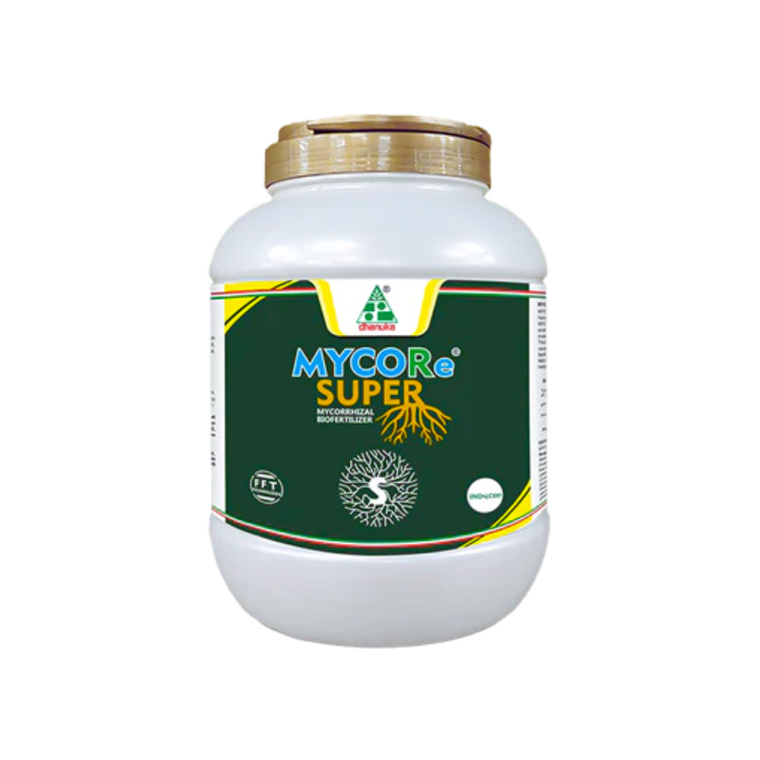 Mycore Super Bio Fertilizer containing Arbuscular Mycorrhizal Fungi (AMF) by Dhanuka, enhances plant root growth, nutrient and water absorption, and stress tolerance for healthier, more productive crops.