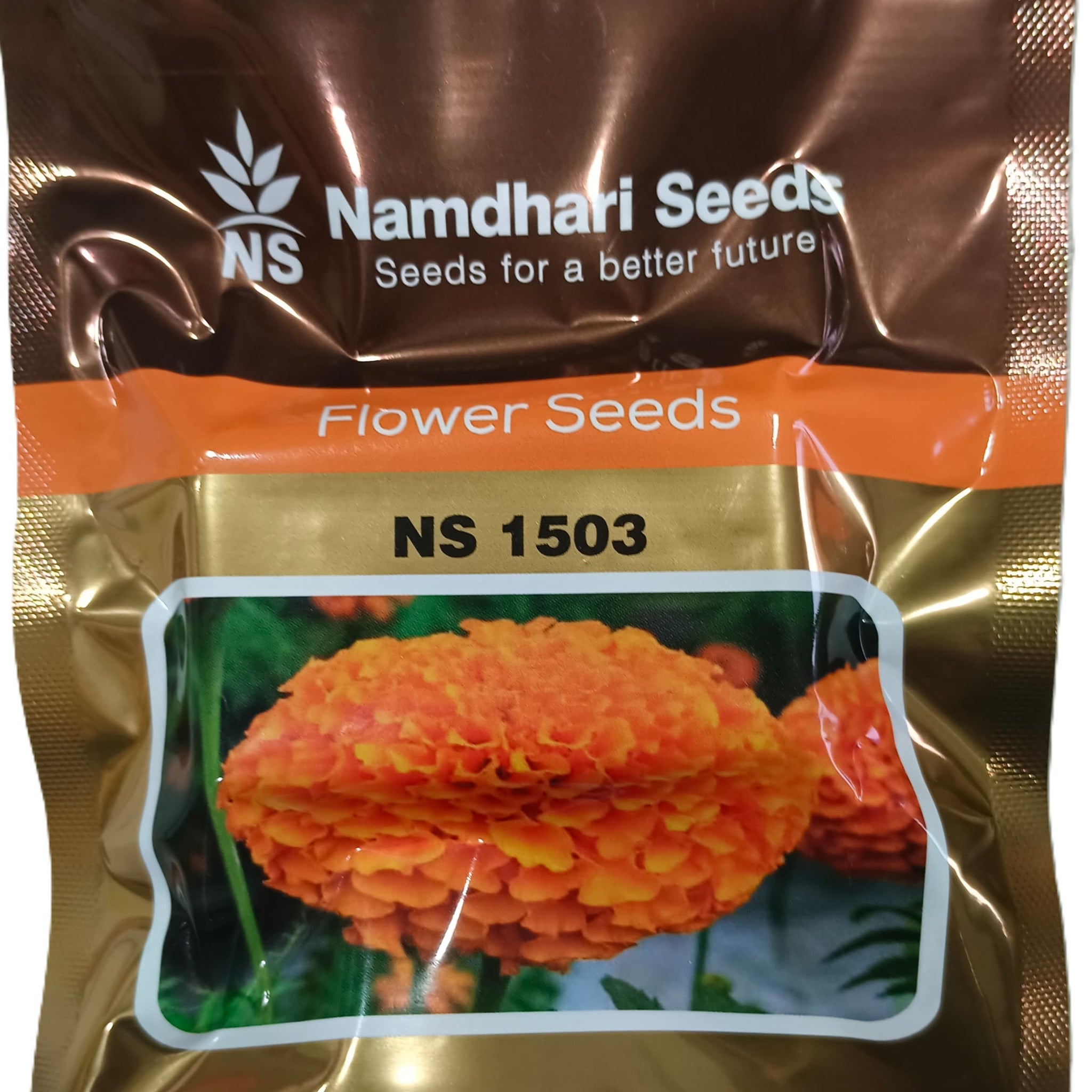 Bright orange marigold flowers grown from Namdhari NS 1503 F1 hybrid seeds, ideal for vibrant garden displays and commercial cultivation.