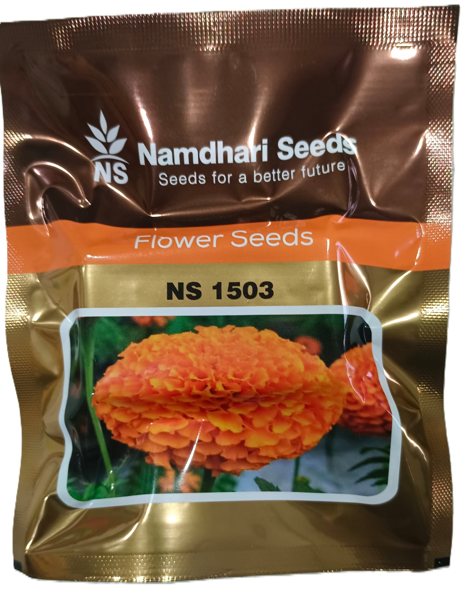 Bright orange marigold flowers grown from Namdhari NS 1503 F1 hybrid seeds, ideal for vibrant garden displays and commercial cultivation.