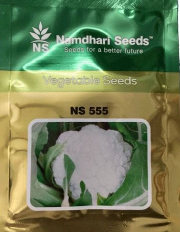 NS 555 F1 Hybrid Cauliflower seeds packet with label, early-maturing, high-yield variety for compact, white curd cauliflower cultivation in diverse climates