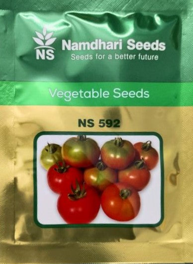 Namdhari NS 592 F1 Hybrid Tomato seeds packet with label, high-yield variety for uniform, firm, red tomatoes suitable for long-distance transport and commercial farming