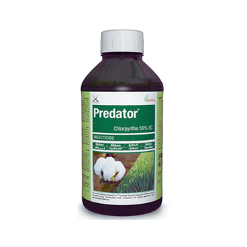 Predator insecticide bottle showing formulation - Chlorpyrifos 50% EC -a broad-spectrum systemic and contact insecticide used to control soil and foliar pests in crops like rice, maize, cotton, and vegetables, promoting healthy plant growth and improved yield.