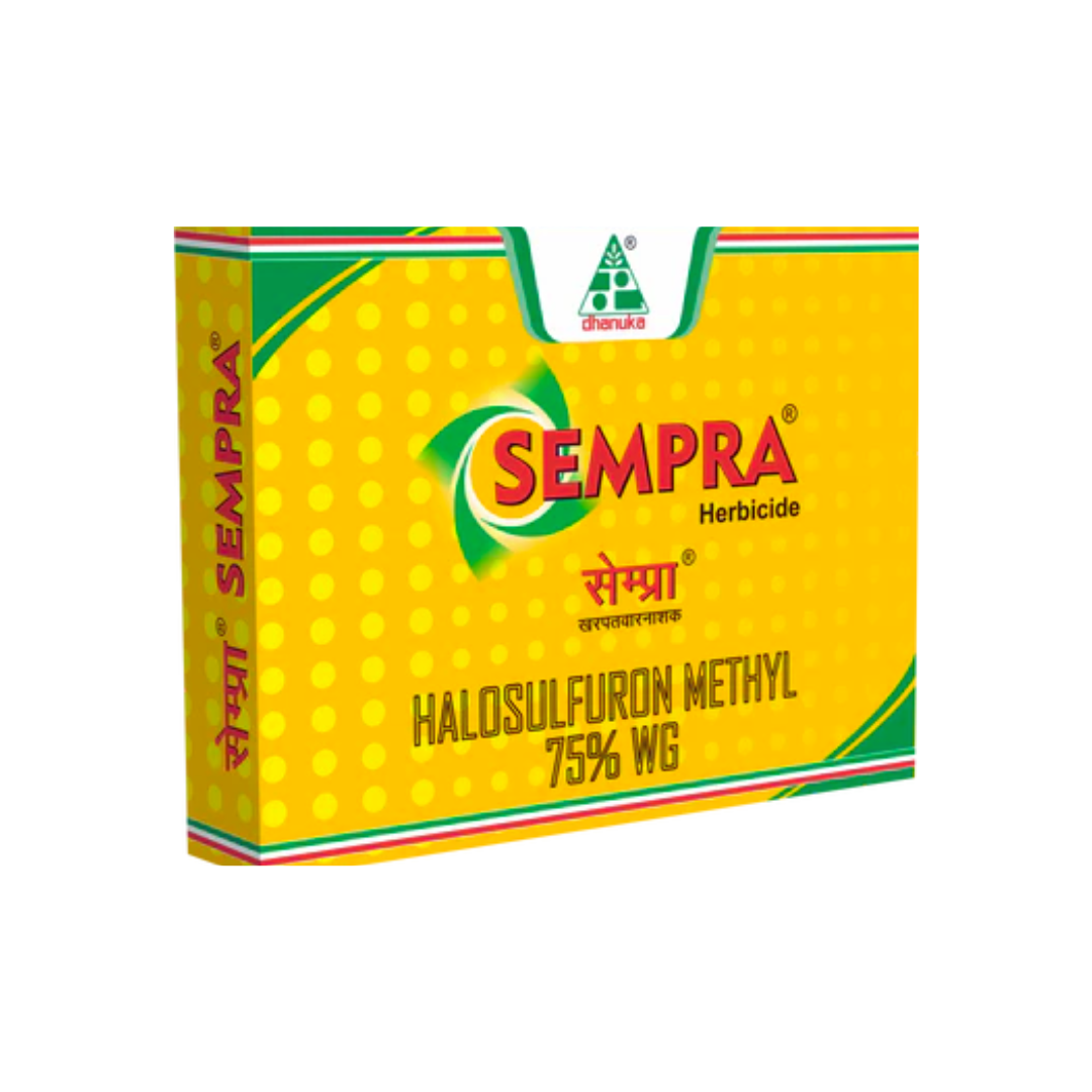 Sempra Herbicide – Halosulfuron Methyl 75% WG, a selective post-emergence herbicide for effective control of broadleaf weeds and sedges in crops like sugarcane, rice, and vegetables.