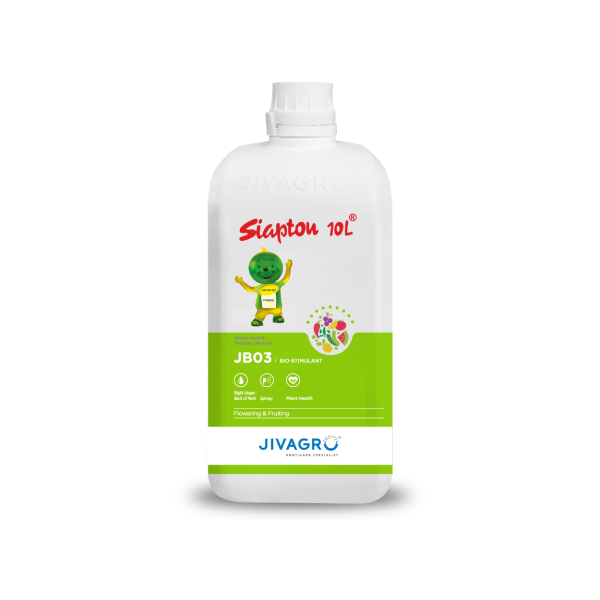 Siapton is a crop biostimulant containing amino acids, peptides, and natural microelements, designed to enhance plant growth, improve stress tolerance, and promote overall crop health and yield.