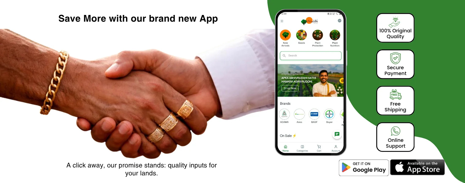 slider image slider_item_HD6MeB