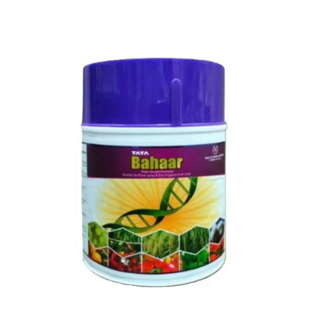 Tata Bahaar is a bio-stimulant containing hydrolyzed proteins and amino acids that enhances plant growth, improves flowering and fruit set, boosts yield, and helps crops recover from stress conditions like drought or nutrient deficiency.