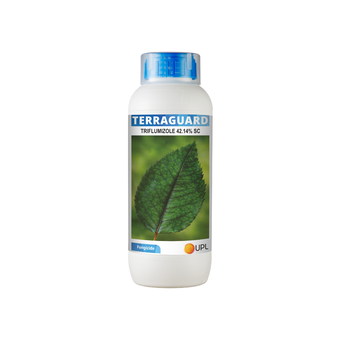 Terraguard Fungicide – a SC formulation with Triflumizole 42.14%, providing effective preventive and curative control of fungal diseases in crops, enhancing plant health, yield, and overall crop quality.