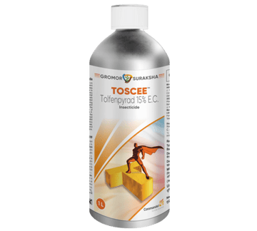 Toscee