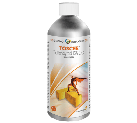 Toscee