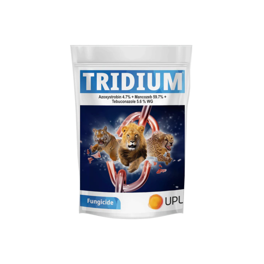Tridium Fungicide by UPL, a combination of Azoxystrobin 4.7%, Mancozeb 59.7%, and Tebuconazole 5.6%, providing broad-spectrum protection against fungal diseases in vegetables, fruits, cereals, and plantation crops through systemic and contact action.