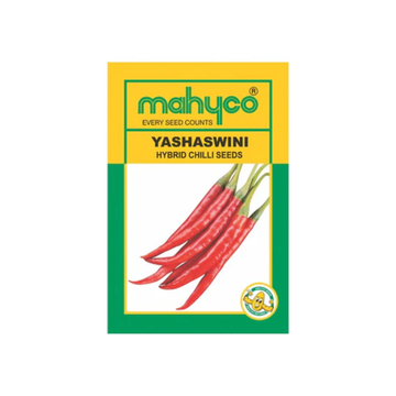 YASHASWINI Hybrid Chilli Seeds