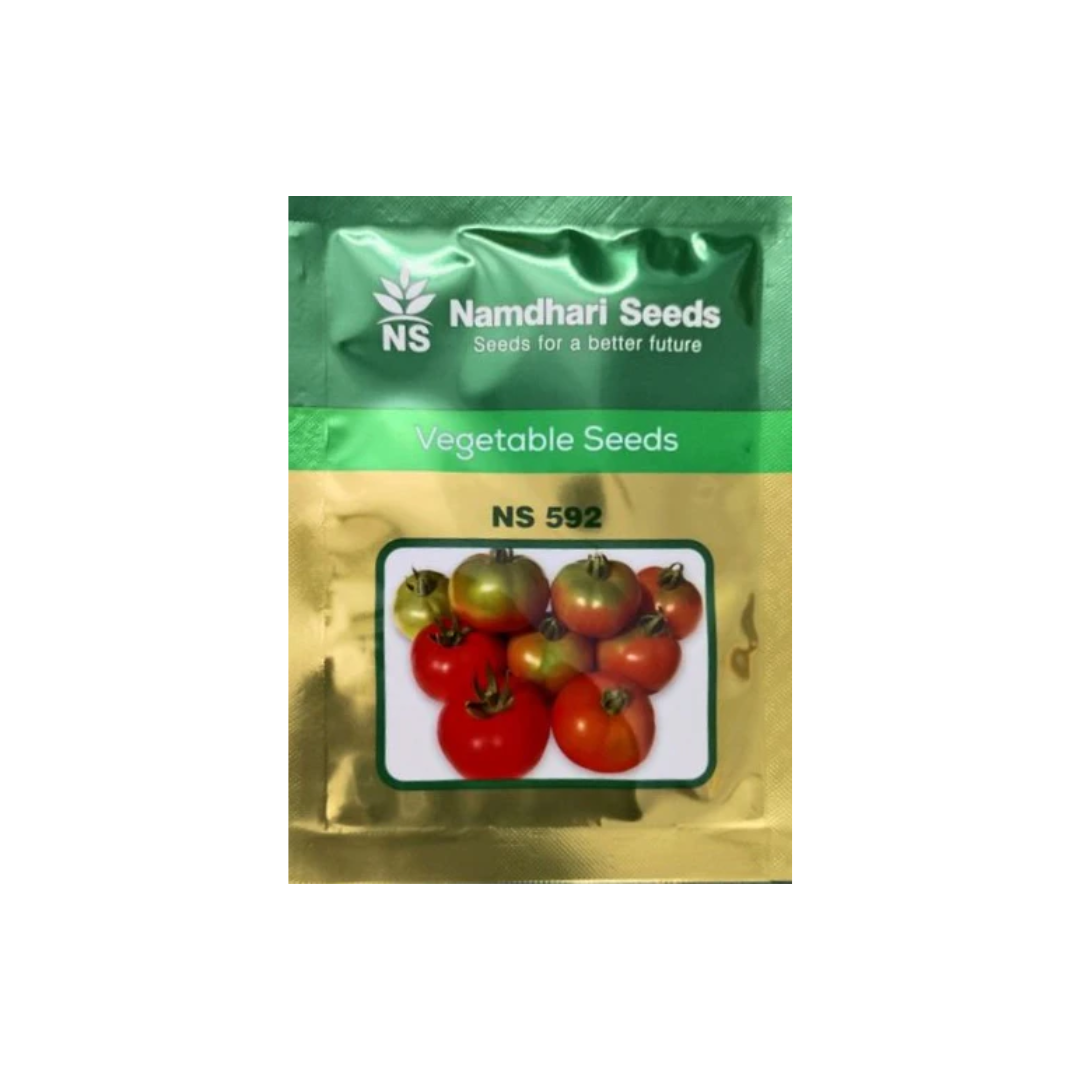 namdhari flower seeds NS 592 F1 HYB Tomato Seeds – AgriVruddhi