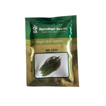 NS 1024 Bitter Gourd