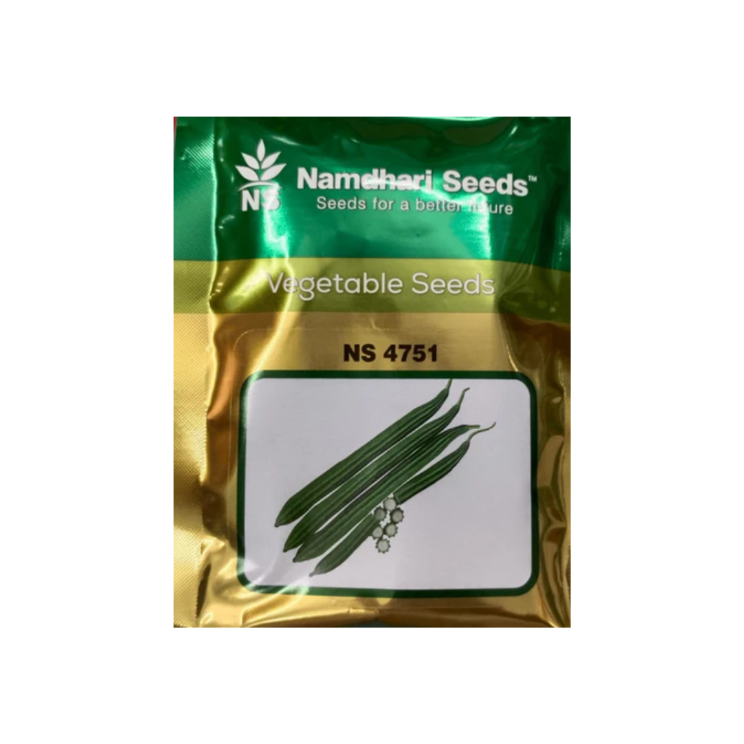 NS 4751 F1 Hybrid Ridge Gourd Seeds