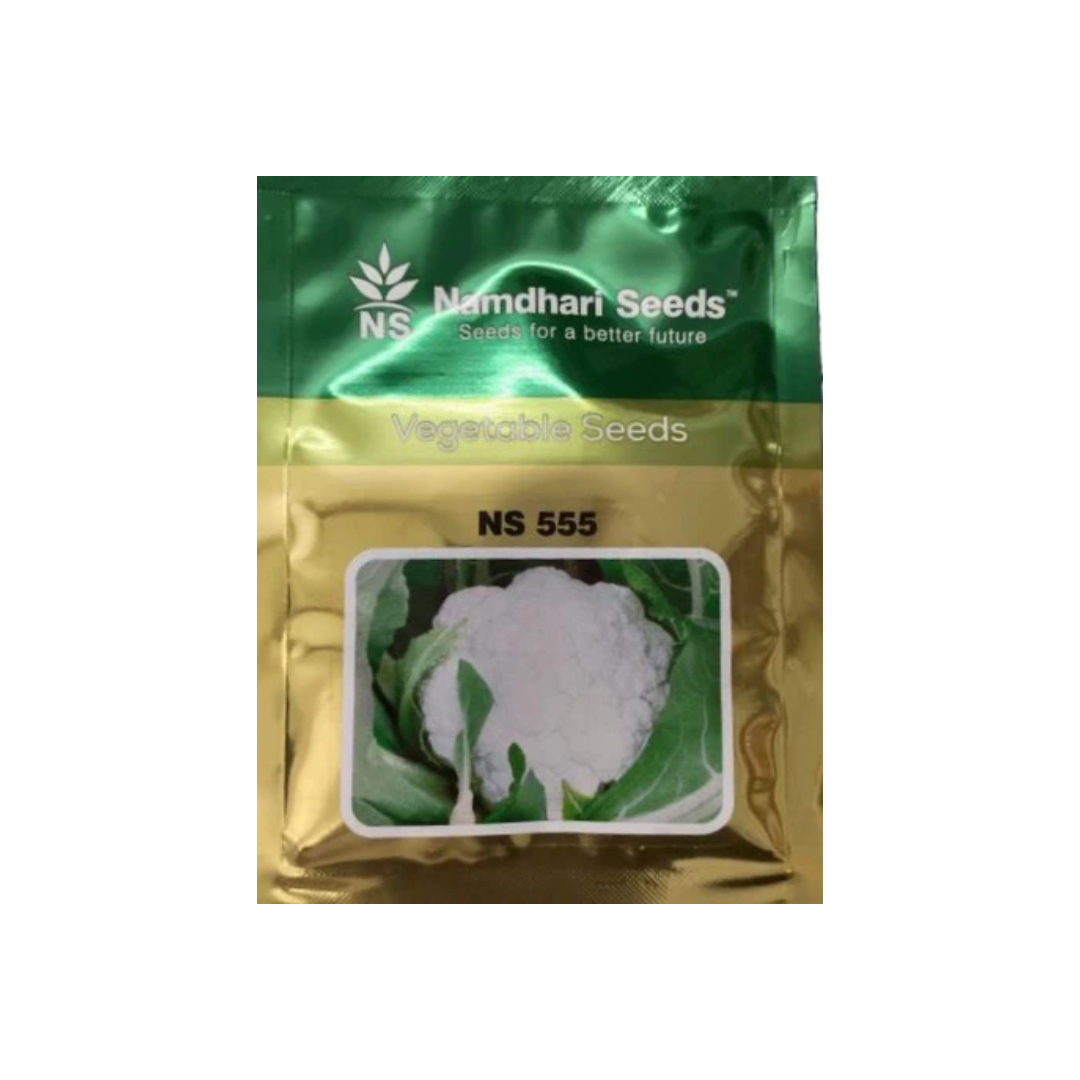 NS 555 F1 HYBRID Cauliflower Seeds