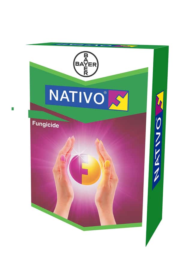 Nativo Systemic Fungicide