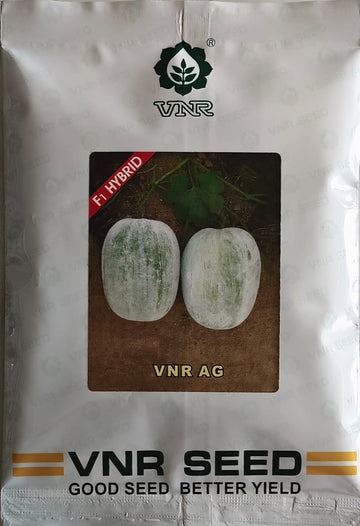 VNR-AG(ASHGOURD)
