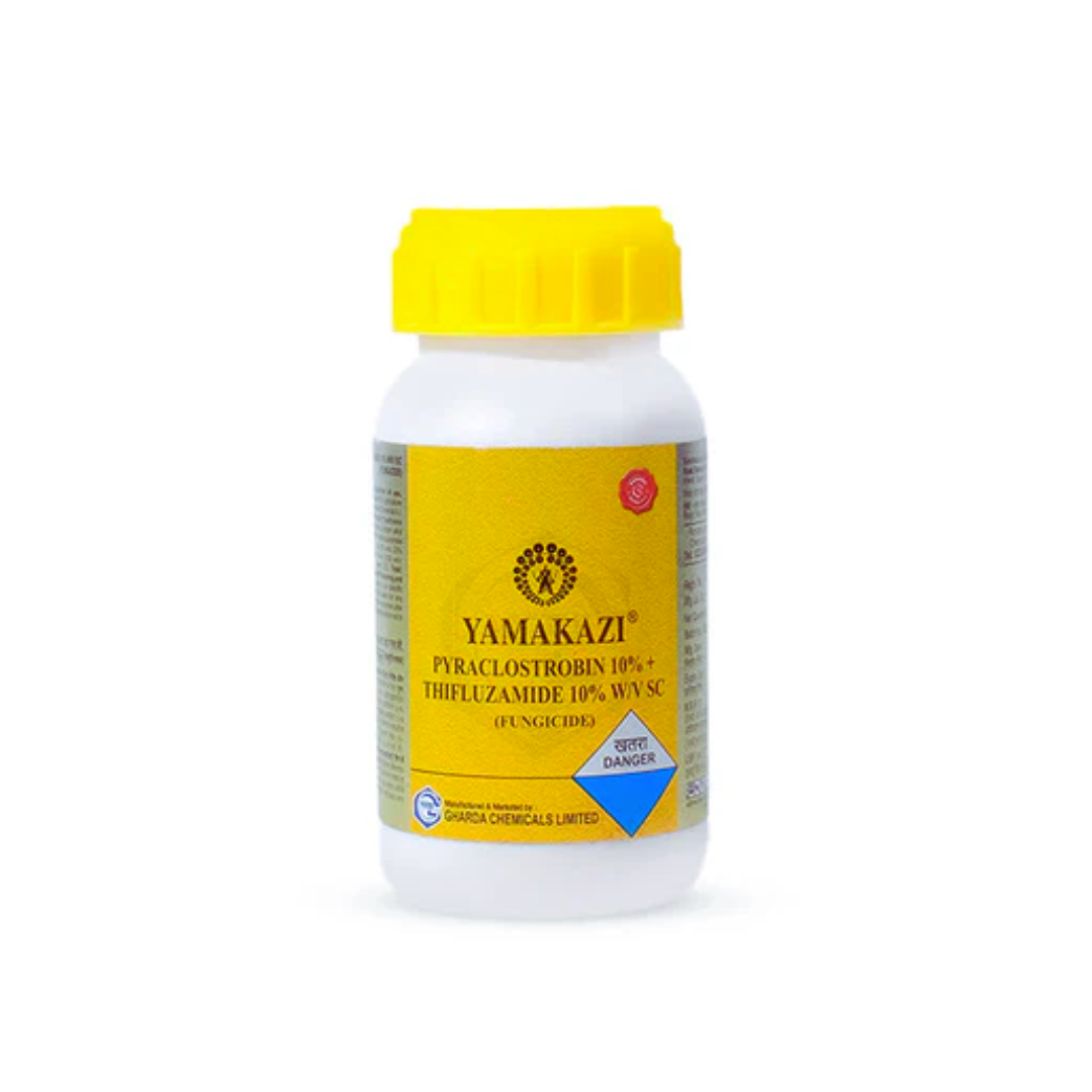 Yamakazi Fungicide is a systemic foliar fungicide containing Pyraclostrobin 10% and Thifluzamide 10% SC, providing broad-spectrum control of fungal diseases and protecting crop health and yield.