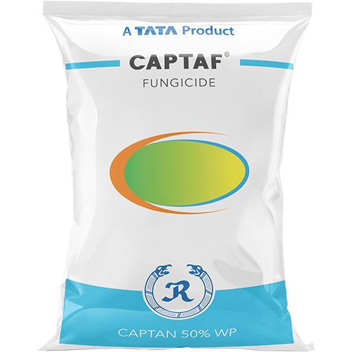 Captaf fungicide bottle for crop protection against fungal diseases