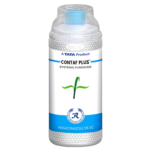 Contaf Plus Insecticide