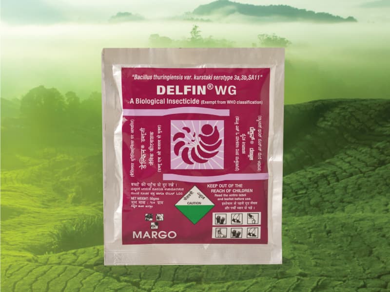 Delfin WG